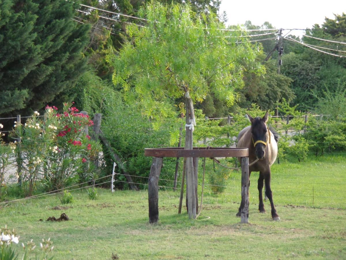 El Sendero - Gueiraldes B&B San Antonio de Areco Kültér fotó